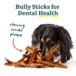 BullySafe Chews - BullySticks