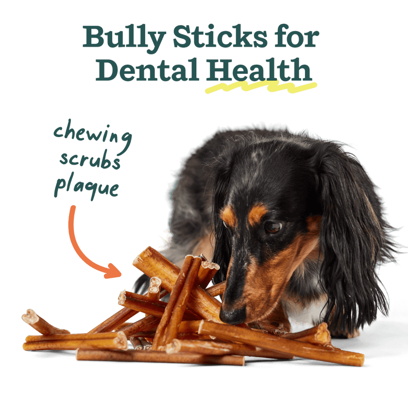 BullySafe Chews - BullySticks