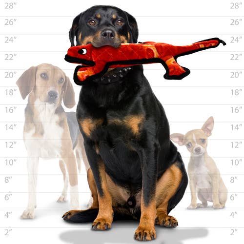 Tuffy Desert Lizard, Durable, Tough, Squeaky Dog Toy