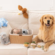 Dog Toy Trout Jointed Shake Play Plush Toy