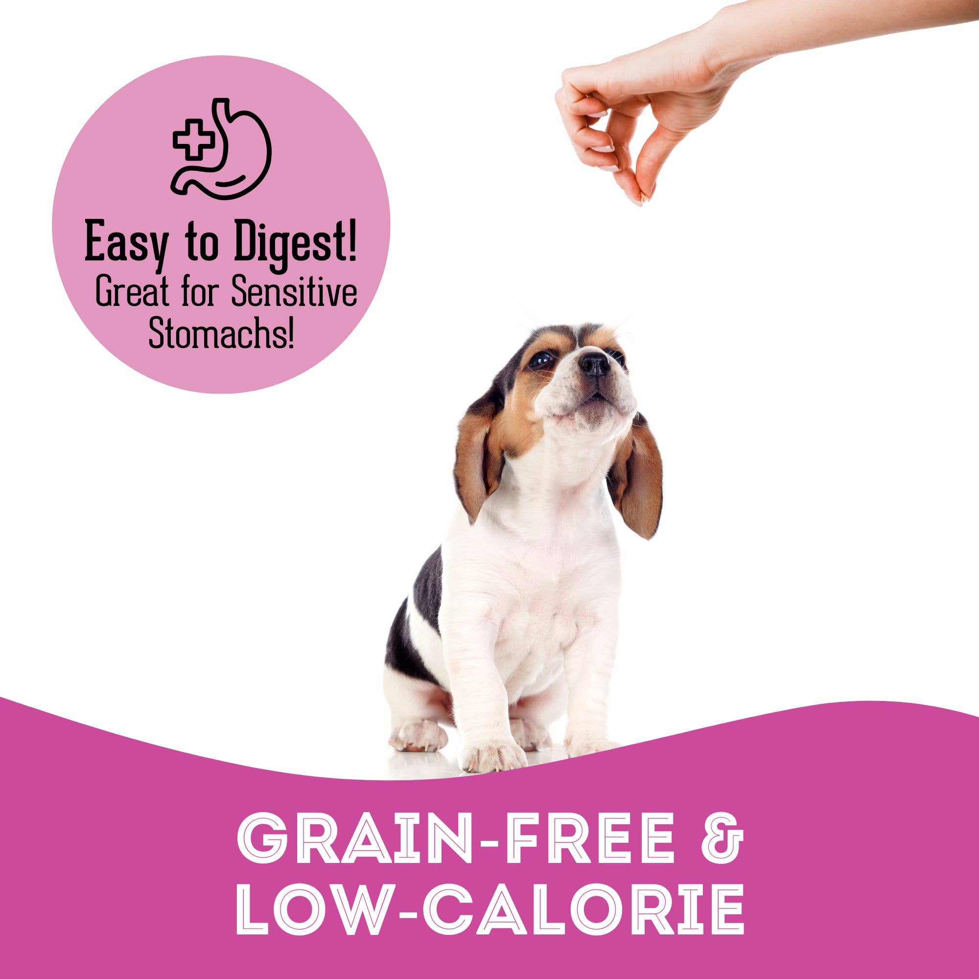 Lamb & Kelp Soft Dog Treats: Chewy & All-Natural