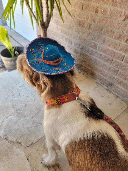 Hat For Cat or Dog Large Mariachi Hat