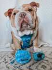 Dog Waste Bag Holder Blue Tropical Tides With Clasp