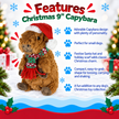Dog Toy Capybara 9