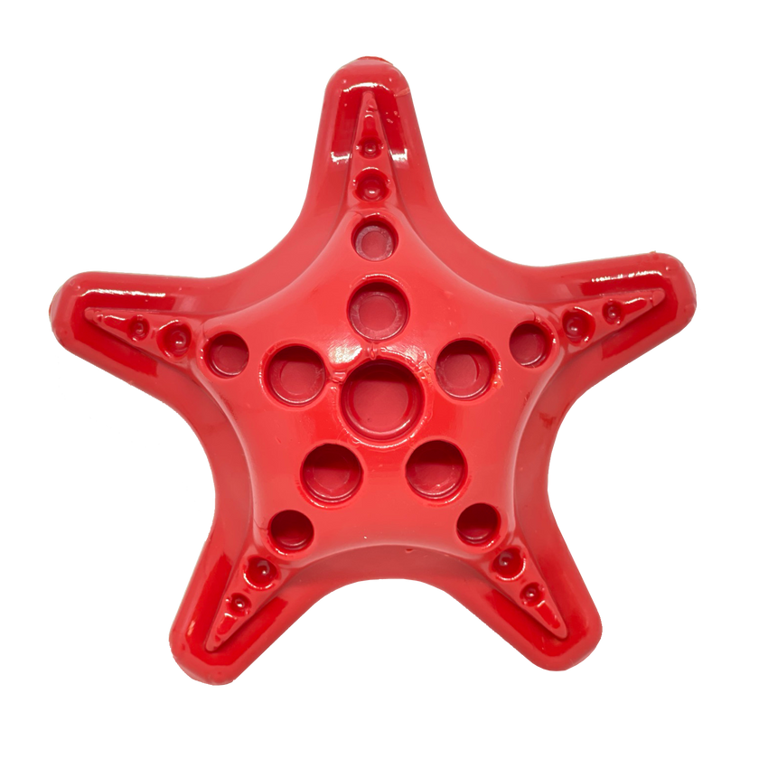 SP Starfish Ultra Durable Nylon Dog Chew Toy for Aggressive Chewers