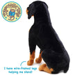 Plush Rottweiler 27