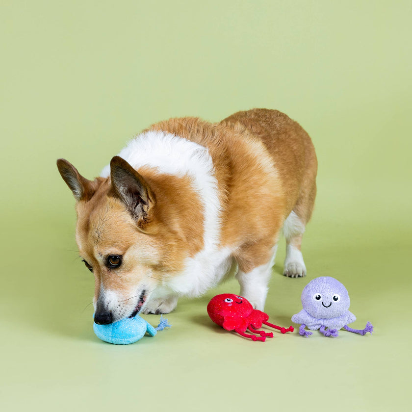 Dog Toy Jellyfish Too Tentacool 3pc Small Dog Plush Toy Set