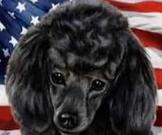 Poodle, Black (American Flag) Large Flag