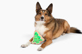 Christmas Tree Sugar Cookie Plush Dog Toy