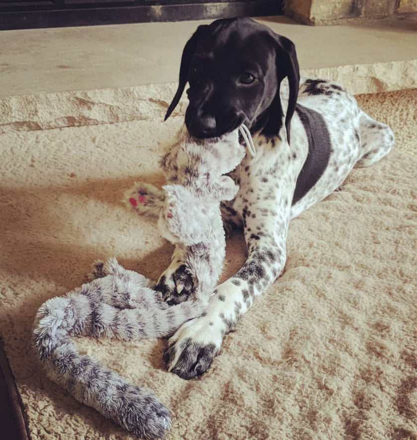 Flat Cat Frosted Dog Toy