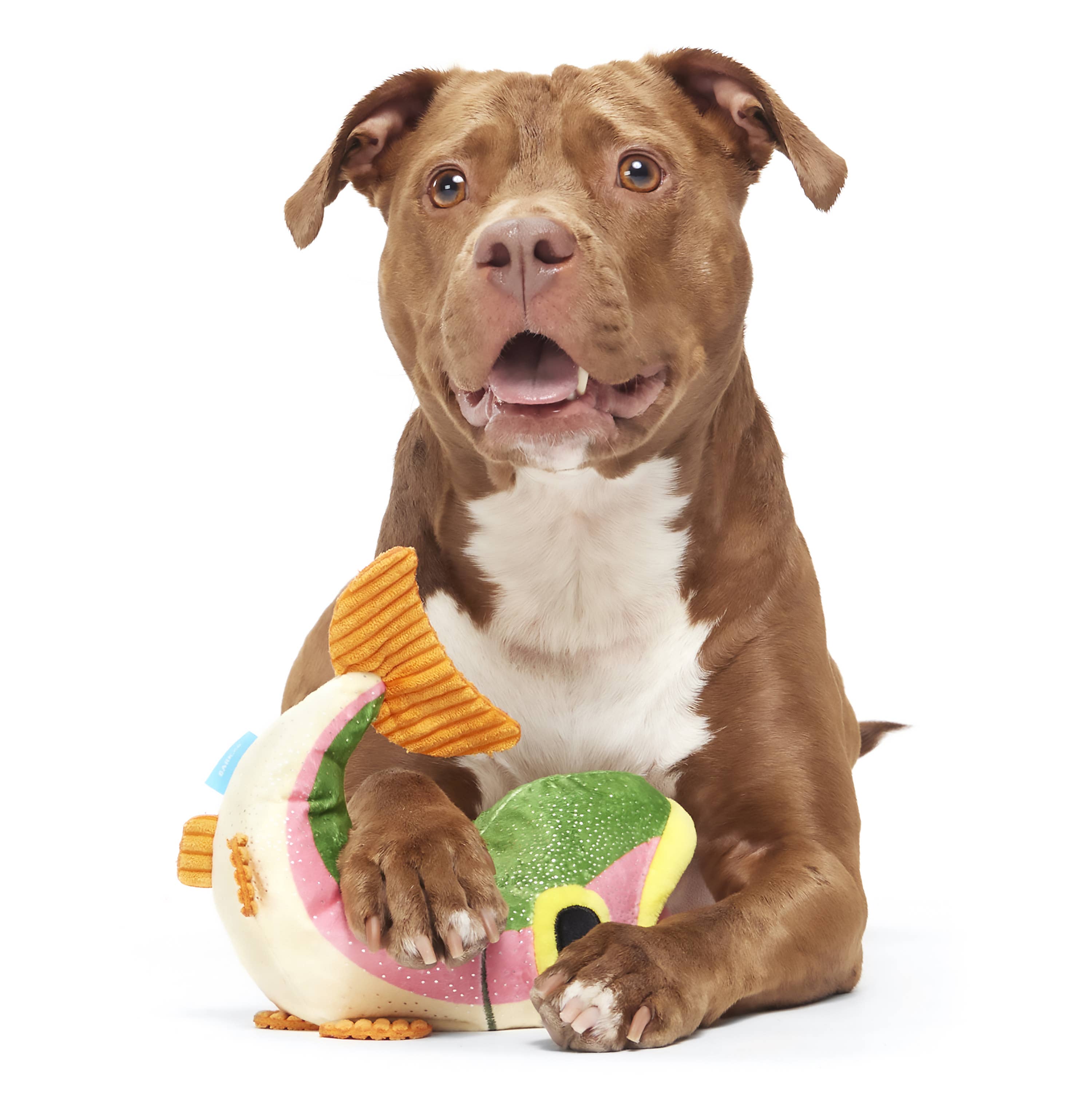 BARK Brooke Trout Plush Dog Toy