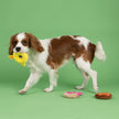 Dog Toy Donuts 3pc Holey Donuts Small Dog Plush Toy Set