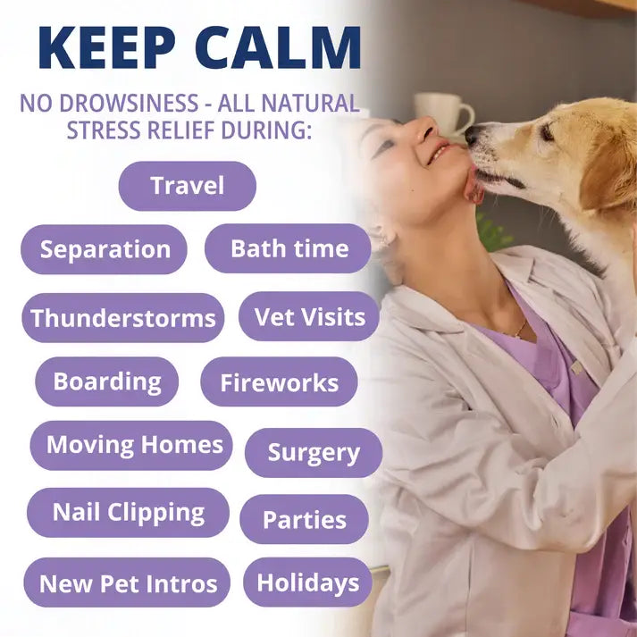 Dog Treat Under the Weather Calming Soft Chew 60ct