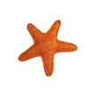 Hip Doggie -  Organic Vegetable Dental Toy - Starfish