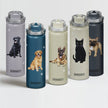 Tabby Cat Silver Stainless Steel Water Bottle 24 Oz. Serengeti