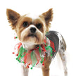 Christmas Jingle Bells Decorative Dog Collar