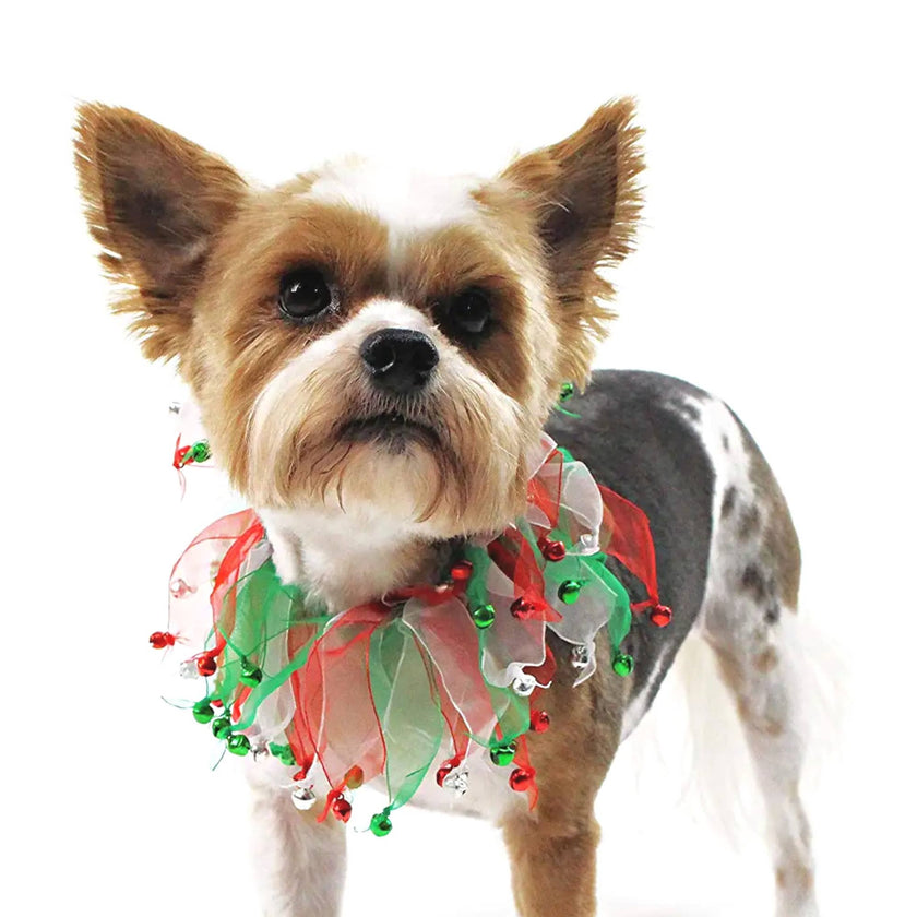 Christmas Jingle Bells Decorative Dog Collar