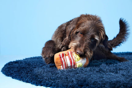 BARK Barkfest in Bed Dog Toy