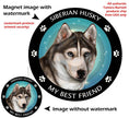 Siberian Husky Grey & White Blue Eyes My Best Friend Magnet
