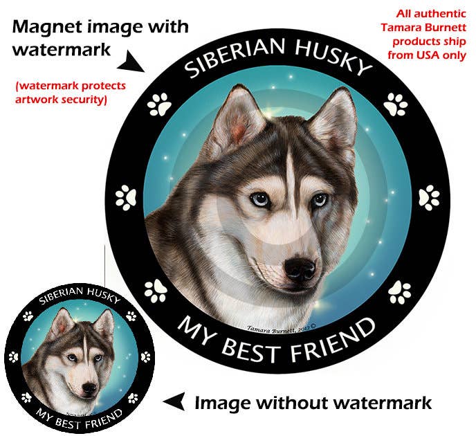 Siberian Husky Grey & White Blue Eyes My Best Friend Magnet