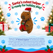 Dog Toy Capybara 9