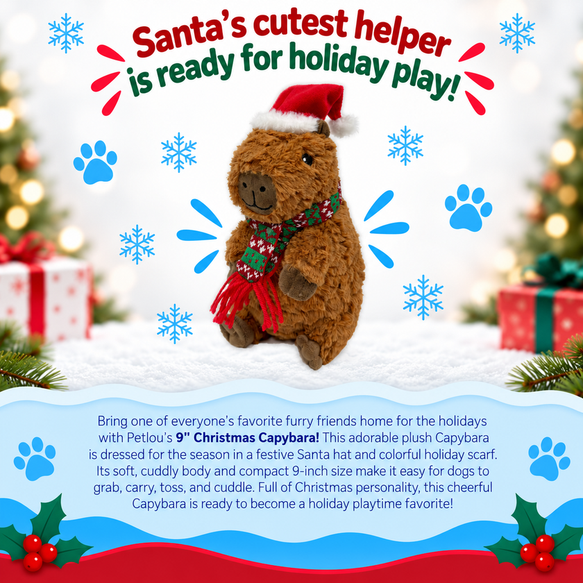 Dog Toy Capybara 9