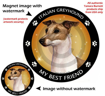 Italian Greyhound Fawn My Best Friend Circular Magnet