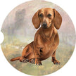 Dachshund, Red Car Coaster: SITTING