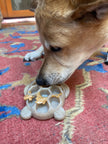 Dog Toy Turtle Durable Nylon Chew and Enrichment Toy