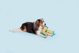 Dog Toy Rain Boots BARK Smelly Wellies Plush Toy