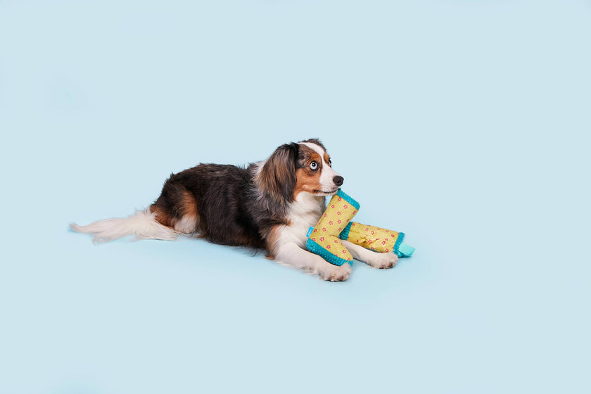 Dog Toy Rain Boots BARK Smelly Wellies Plush Toy