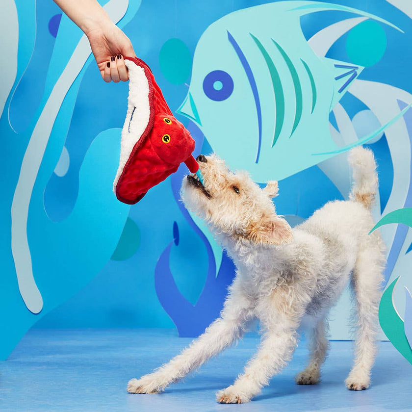 Dog Toy Stingray BARK Sting Crosby the Ray Dog Toy