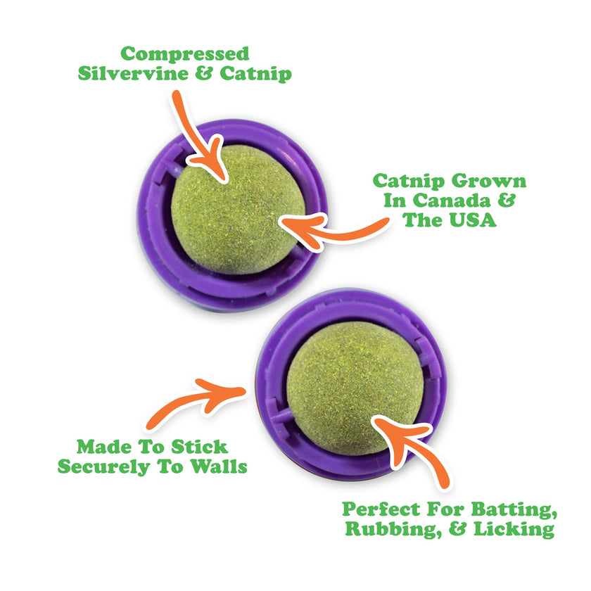 Purrple Passion Stick 'n' Lick Compressed Catnip - 2 Pack