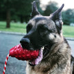 USA-K9 Grenade Rubber Dog Chew Toy K9 Handler Reward Dog Toy