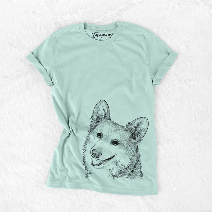 *Pembroke Welsh Corgi -Scout