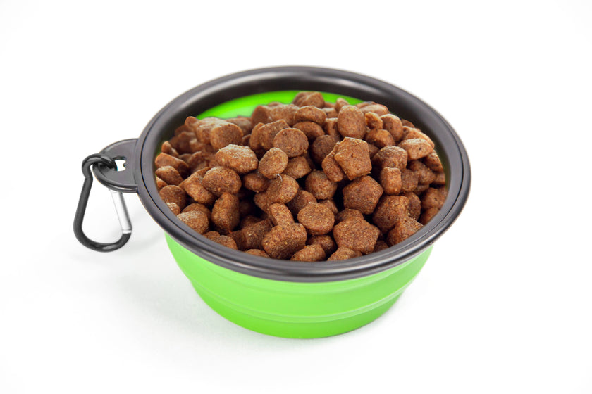 Pupware Collapsible Doggie Dish water or Food Travel Bowl