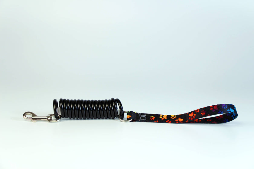 Unique Coil Pet Leash