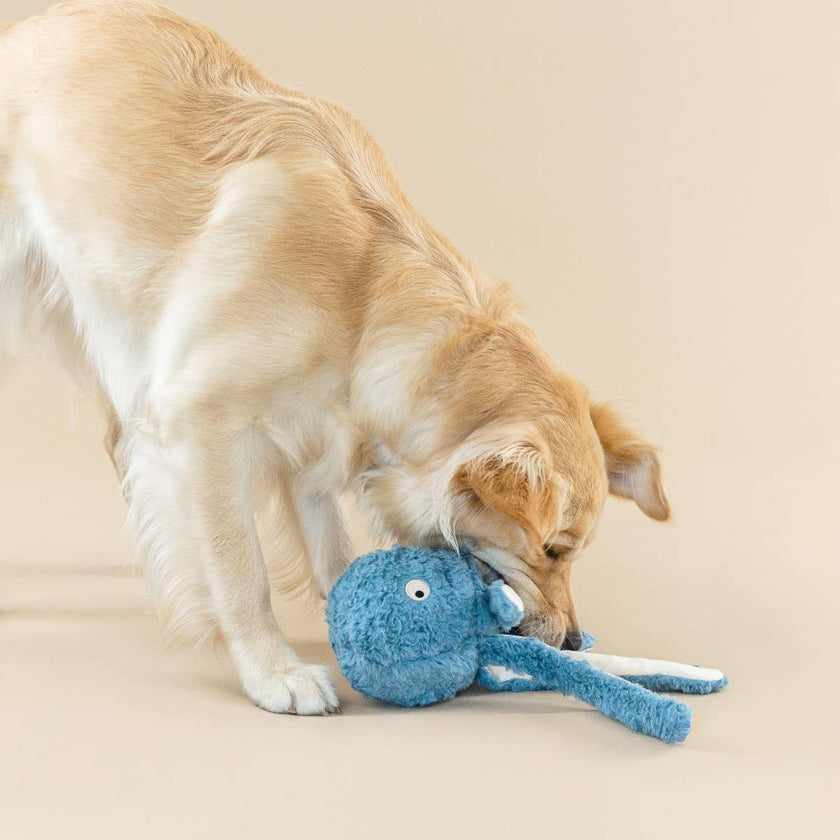 PetShop by Fringe Studio Long Time No Sea Dog Toy