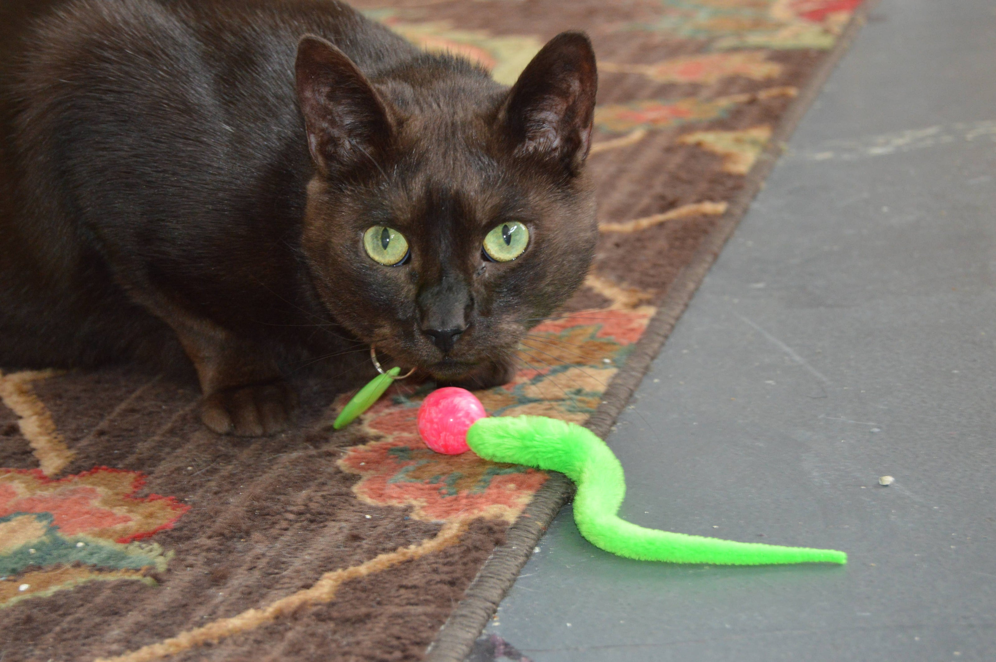 Wiggly Ball Solid Marbled Cat Toy Bouncy Ball