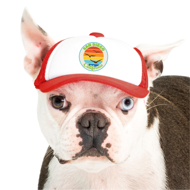 Trucker Hat for Dogs/Cats- Seagull
