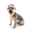 Bucket Pet Hat Rainbow