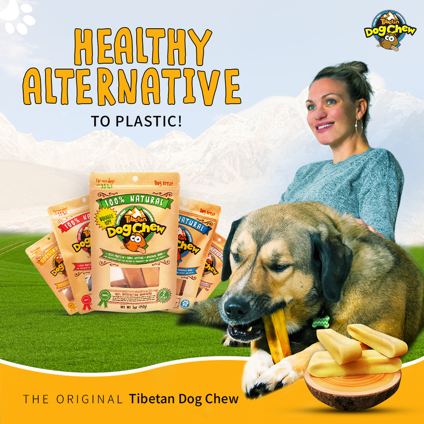 Tibetan Dog Chew Medium Double Up