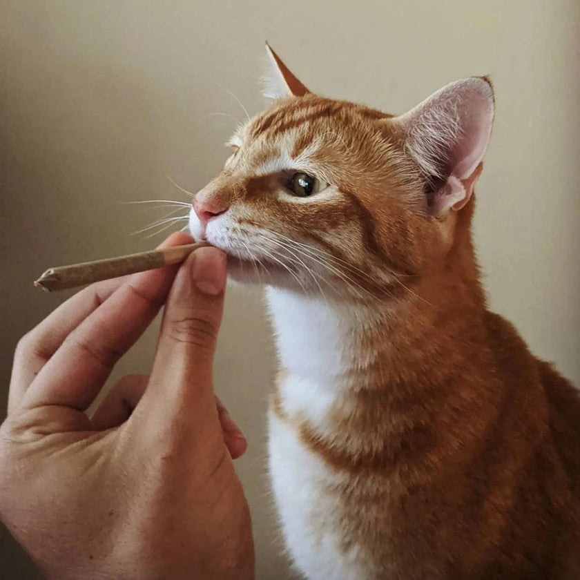 Meowijuana® Catnibas® King Size Rollies