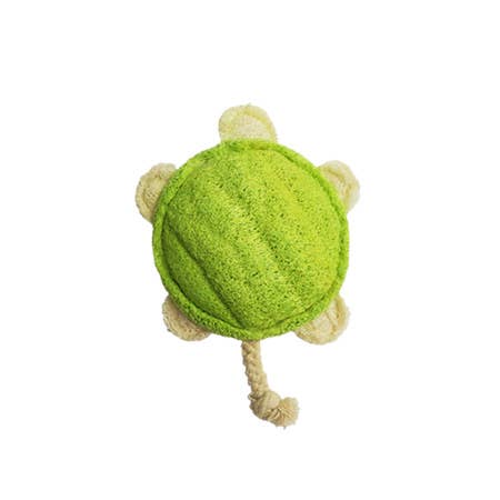 Hip Doggie -  Organic Vegetable Dental Toy - Turtle