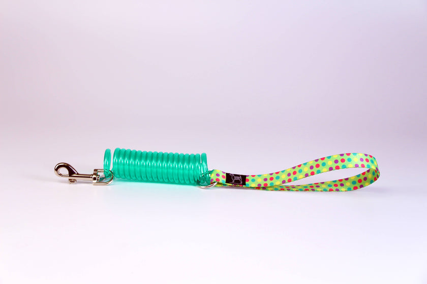 Unique Coil Pet Leash