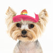 Trucker Hat for Dogs/Cats: Island Sunset Red / M