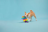 BARK Full O' Fluff Pinata Large Dog Toy