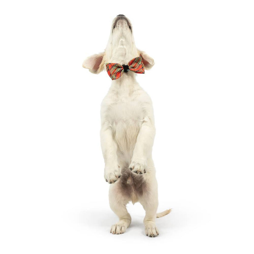 H&K Shiny Christmas Plaid Bow Tie