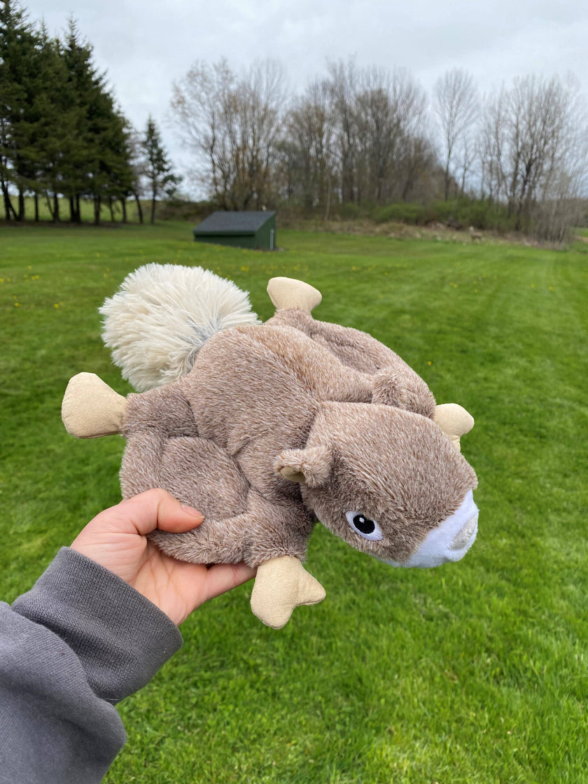 Dog Toy Squirrel Fling and Fetch Plush Toy