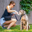 Puppington Collapsible Silicone Dog Water Bottle